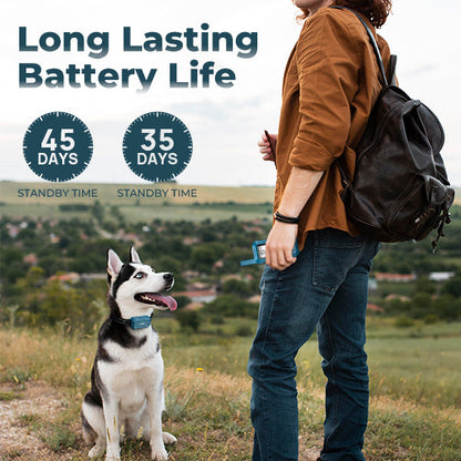 GentleCommand Dog Training Collar