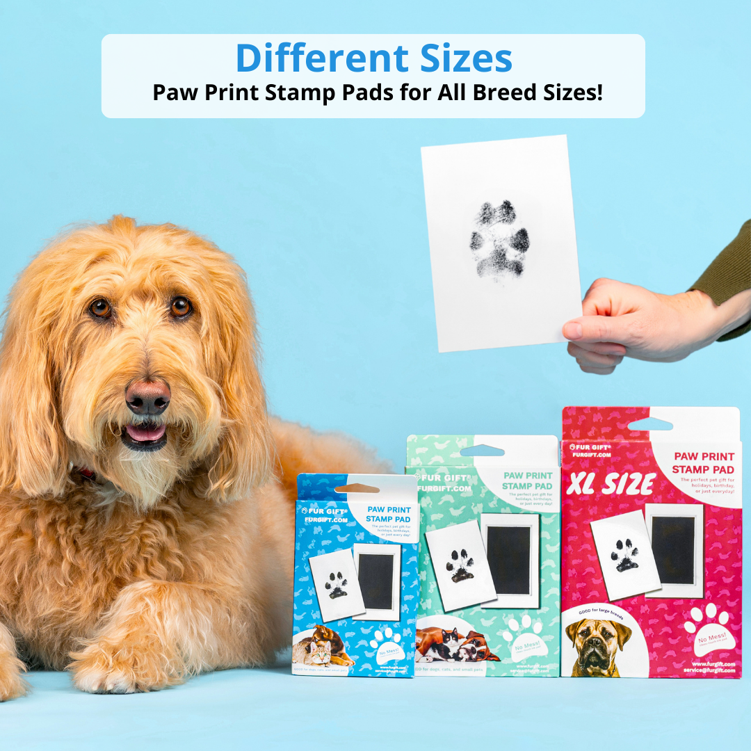 PawMemory™ - Print Kit