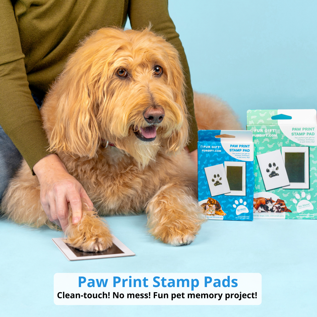 PawMemory™ - Print Kit